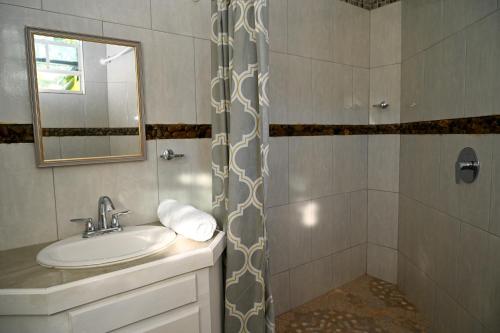 W łazience znajduje się umywalka i prysznic. w obiekcie La Vue w mieście Anse La Raye