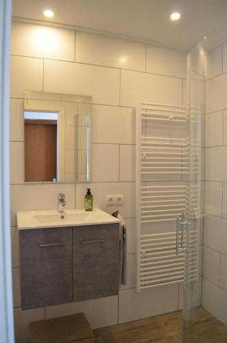 La salle de bains est pourvue d'un lavabo et d'un miroir. dans l'établissement Ferienhaus Nr. 12 am Südhang der Bentheimer Berge nah an der Natur, à Bad Bentheim