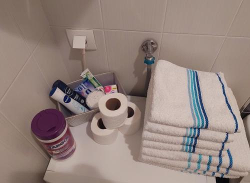 ein Badezimmer mit Handtüchern und Pflegeprodukten auf der Theke in der Unterkunft Apartment Spens in Novi Sad