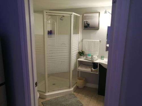 Ein Badezimmer in der Unterkunft Cozy nest basement unit