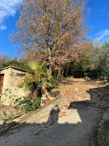 Poggio alla Pieve - Bianco – Photos 3