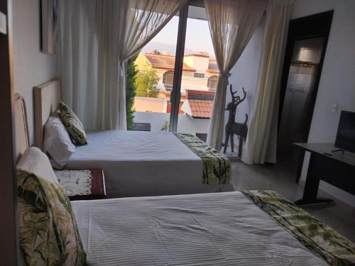 Habitación de hotel con 2 camas y ventana en Hospedaje Familiar, en Oaxaca City