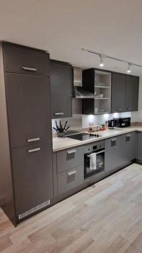 Η κουζίνα ή μικρή κουζίνα στο Modern Stylish Apartment in Birmingham