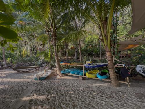 Los Vivos Beachfront Experience في Pochote: مجموعة من القوارب على شاطئ به أشجار نخيل