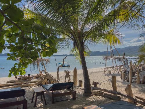 a beach with a palm tree and chairs and the ocean at Los Vivos Beachfront Experience in Pochote