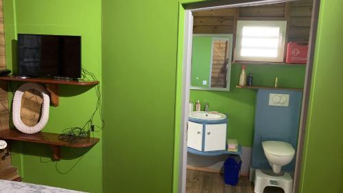 een groene badkamer met een wastafel en een toilet bij MAISON FAMILLE RANCE in Pointe-Noire