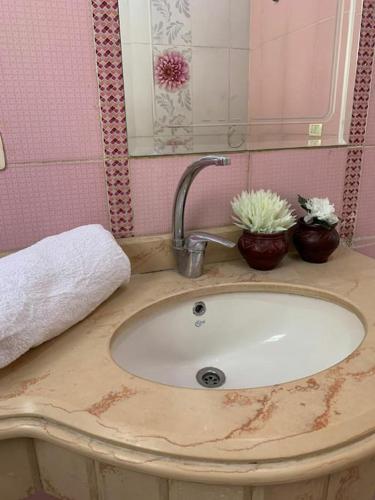 a bathroom sink with a faucet and flowers on it at فيلا مبهجة مع مسبح وحديقة رائعة in 6th Of October