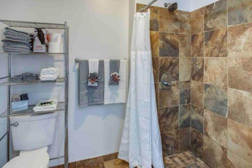 a bathroom with a shower and a toilet at NY Style Centric Loft with King Bed by Park av. in Rochester