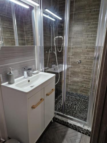 a bathroom with a sink and a shower at studio meublé au RDC , proche lac in Aix-les-Bains