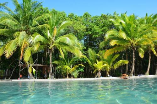 a group of palm trees on a tropical beach at Casa elba sobre el mar in Bocas Town