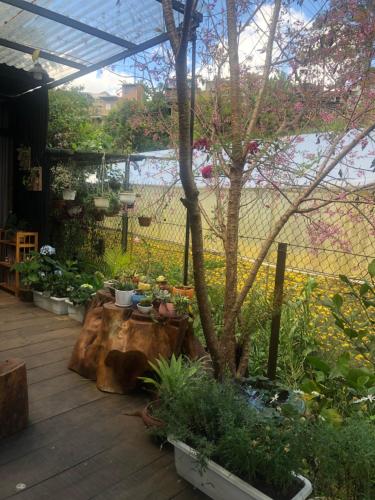 a garden with a tree and a table with plants at Bắp's House Đà Lạt in Da Lat