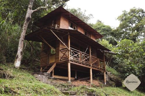 ein Baumhaus mitten im Wald in der Unterkunft Cabaña Resurrección in San Francisco