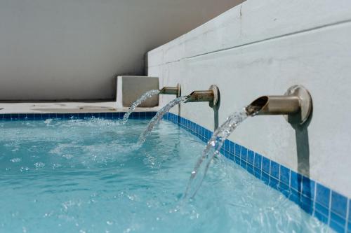 a pool with water coming out of two faucets at Moschel in Paternoster