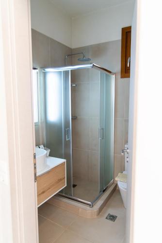 a bathroom with a shower with a sink and a toilet at Villa Cavo d' Oro in Korissia