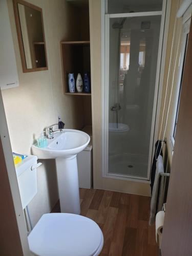 een badkamer met een toilet, een wastafel en een douche bij Forest Feelings - op 5 sterren park met heerlijke privé tuin in Beekbergen