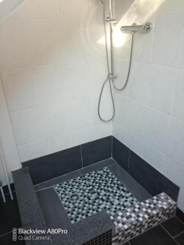 a bathroom with a shower and a tub with a shower at Um Burebierg apartment 35m2 in Buschrodt