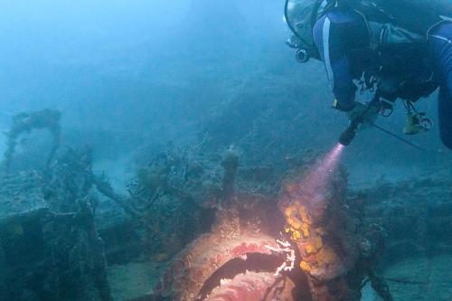 a person is drilling into a coral reef at Metita Beach & Dive Resort in Doruba
