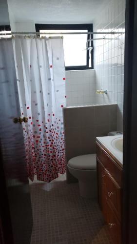 y baño con aseo y cortina de ducha. en Depa Zona centro, en Irapuato
