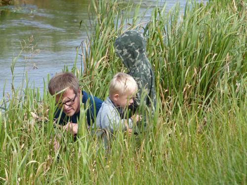 two men in the tall grass near the water with a bird at Hesselhogaard Bed & Breakfast in Grindsted