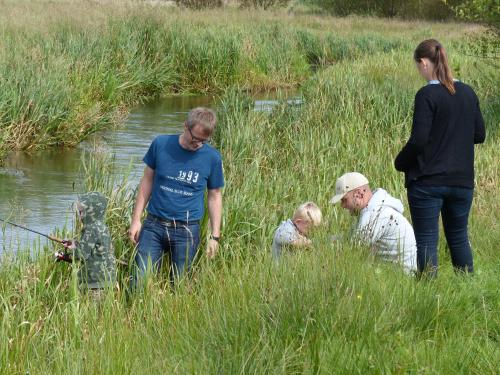 a group of people standing in the grass near a river at Hesselhogaard Bed & Breakfast in Grindsted