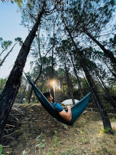 a woman laying in a hammock in a forest at Forest Cabin Bugyal Stays in Pauri