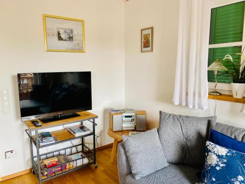 TV a/nebo společenská místnost v ubytování Golfchalet Heidi Uttlau-Bad Griesbach