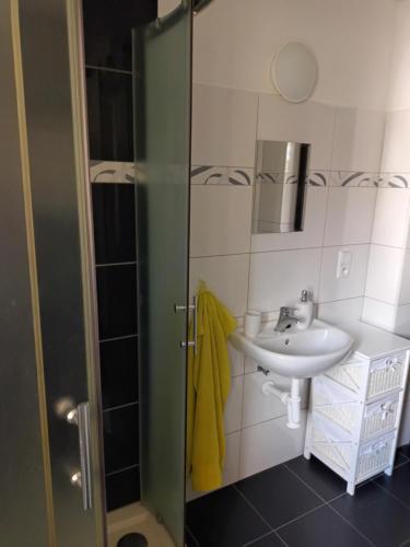 W łazience znajduje się prysznic i umywalka. w obiekcie Vila Pavlínka , apartmány Losiny w mieście Velké Losiny