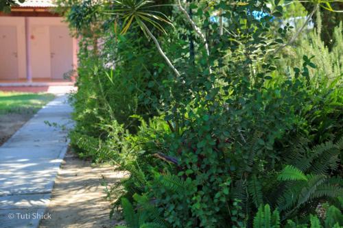 Galería fotográfica de Mandara - Country Lodging en Urim