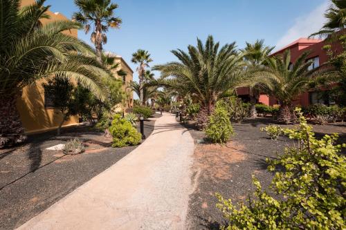 Home2Book Comfy Casa Palomita, Terrace&Pool