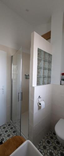 a bathroom with a shower and a toilet and a sink at Biarritz appartement 2 adultes, 2 enfants à proximité immédiate des plages et des commerces in Biarritz
