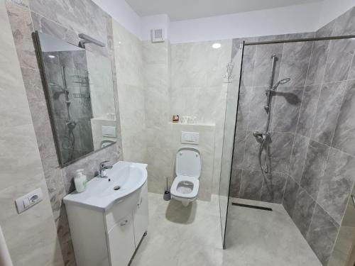 a bathroom with a shower and a toilet and a sink at Septimius Severus Apartments in Alba Iulia