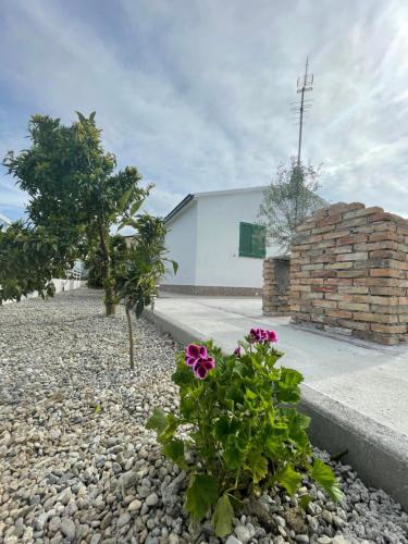 VIVICI country house – Photos 2