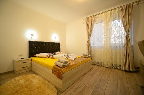 a bedroom with a bed and a window at Apartament Trandafirilor in Haţeg