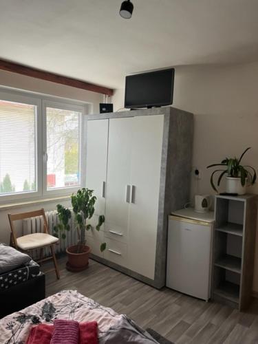 ein Schlafzimmer mit einem großen weißen Schrank in einem Zimmer in der Unterkunft Penzion u krbu in Loket