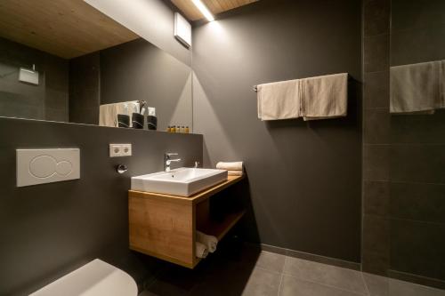 uma casa de banho com um lavatório e um WC em GästeHAUS & HOFladen Familie Öllerer em Sitzenberg