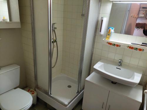 une salle de bain avec une douche, des toilettes et un lavabo dans l'établissement Studio cosy à La Grande-Motte avec parking privé - FR-1-716-41, à La Grande Motte