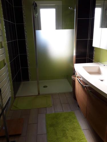 米薩訥的住宿－Chambres 24h du Mans Mulsanne，带淋浴和盥洗盆的浴室
