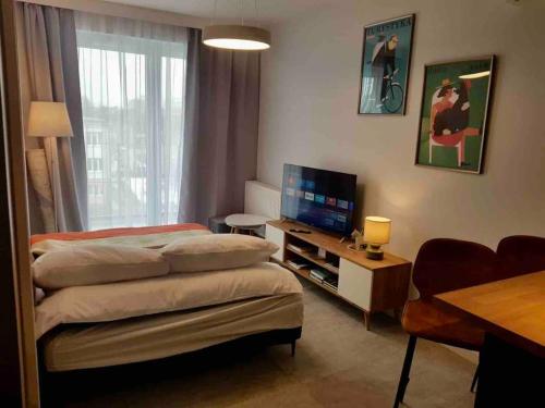 a living room with a bed and a television at Harry’s Apartment/centrum/parking in Wrocław