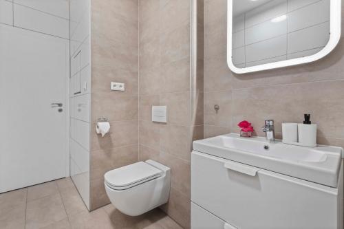 La salle de bains est pourvue de toilettes, d'un lavabo et d'un miroir. dans l'établissement AH Proxenta, à Bratislava