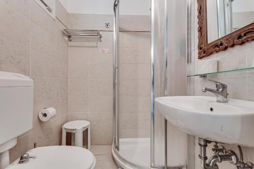 La salle de bains est pourvue d'un lavabo, de toilettes et d'une douche. dans l'établissement Hotel Le Cinéma, à Gatteo a Mare