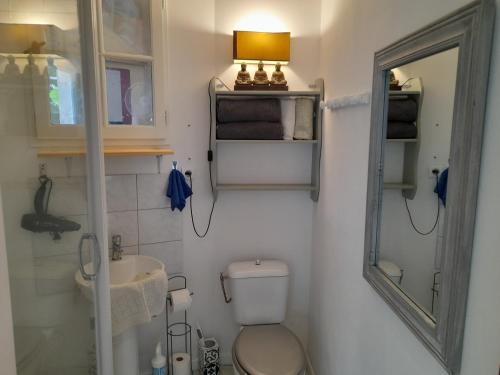 een badkamer met een toilet, een wastafel en een spiegel bij LA DATCHA in Saujon