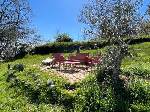 a patio with chairs and a table in a field at Casina Orione in Montecatini Val di Cecina