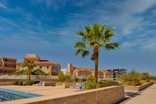 a palm tree sitting next to a swimming pool at Selena Bay Resort & Beach Club in Hurghada