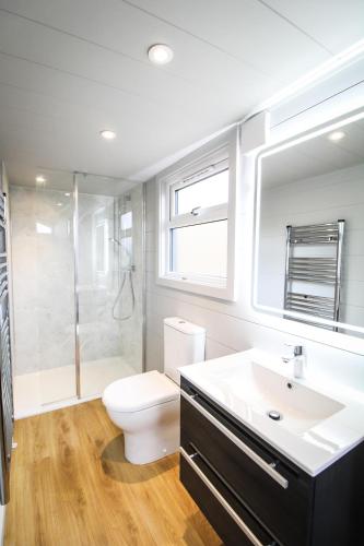 a bathroom with a toilet and a sink and a shower at Buck Barn in Nantmel