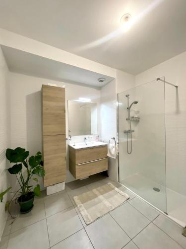 een badkamer met een wastafel, een douche en een toilet bij Très bel appartement dans résidence avec piscine à 5min des plages de Villeneuve Loubet. in Villeneuve-Loubet