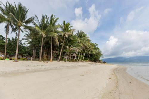 a group of palm trees on a sandy beach at Antique Amor Bungalows & Villas in Pandan