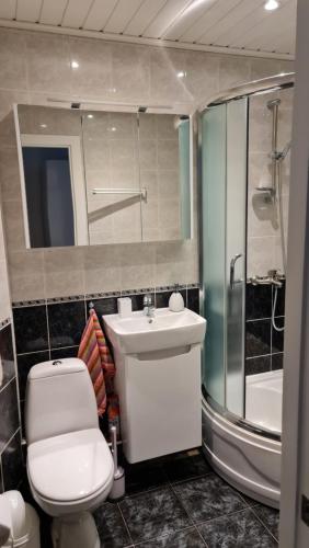 La salle de bains est pourvue de toilettes, d'un lavabo et d'une douche. dans l'établissement Jaukūs namai-Home Sweet Home, à Klaipėda