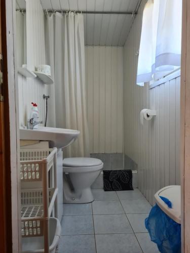 ein Badezimmer mit einem weißen WC und einem Waschbecken in der Unterkunft Ośrodek Wypoczynkowy Amber in Kąty Rybackie
