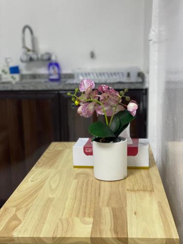 a potted plant sitting on top of a wooden table at Private 2Bedroom Villa with T&B and Kitchenette near Abu Dhabi International Airport in Abu Dhabi