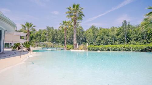 a swimming pool with blue water and palm trees at Relais du Lac Village - Italian Homing in Desenzano del Garda
